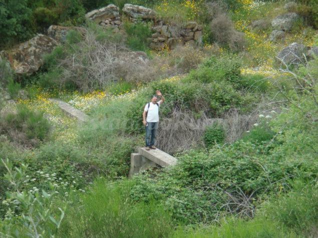 Affittacamere El Majano Montánchez Esterno foto